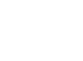Vector